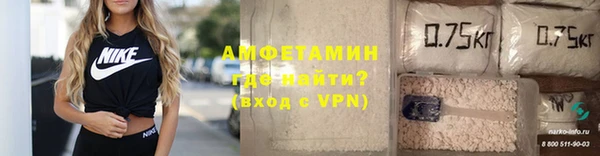 ПСИЛОЦИБИНОВЫЕ ГРИБЫ Сясьстрой