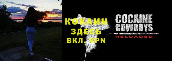соль ск Струнино