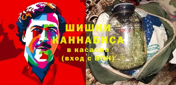 дмт Козельск