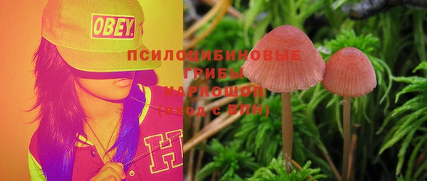 спайс Строитель