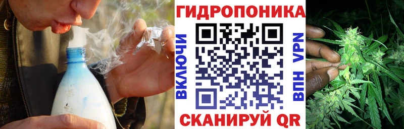 Канабис OG Kush  кракен как зайти  площадка как зайти  сколько стоит  Липки 